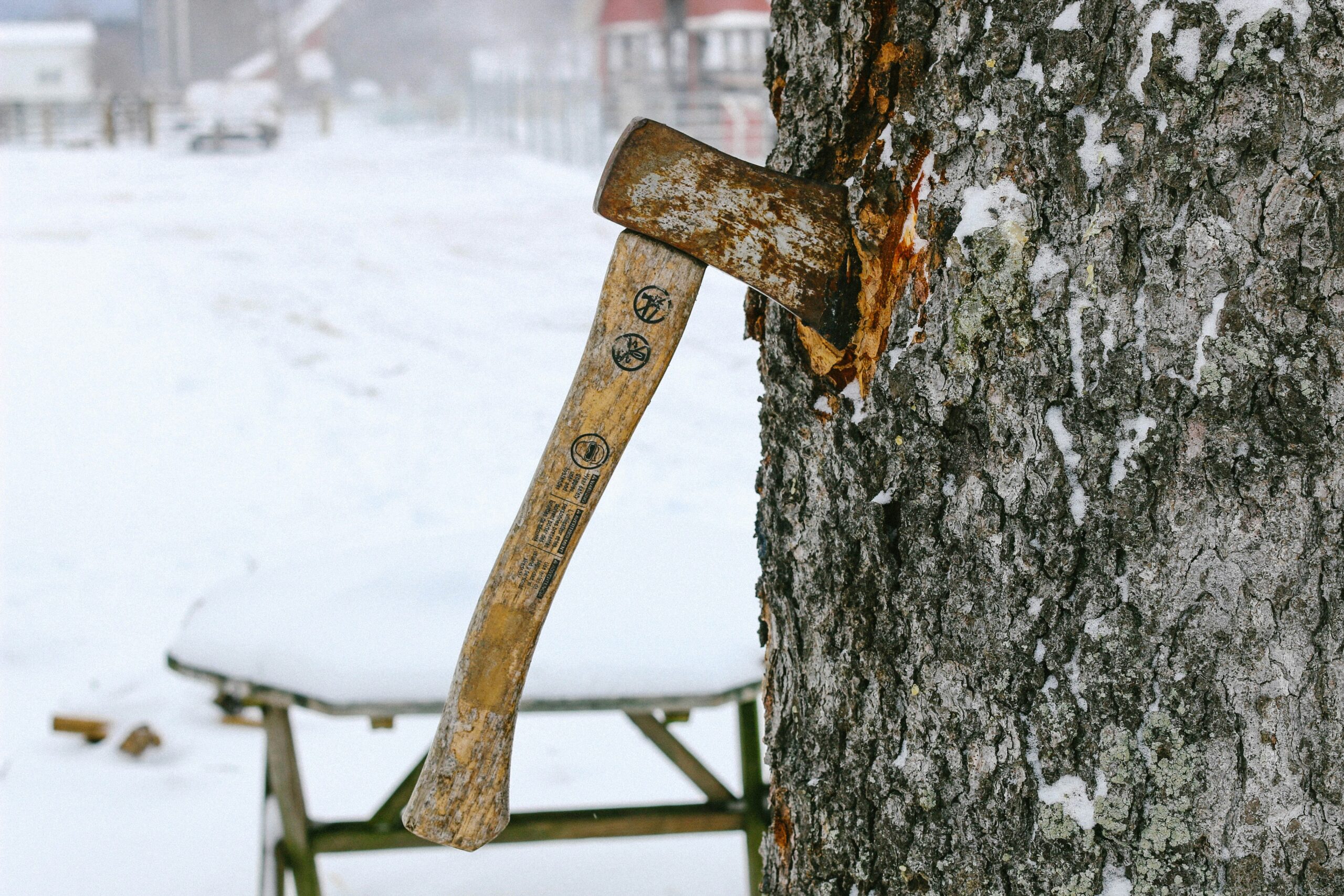 The Cultural Impact of Axe-Throwing in Modern Society