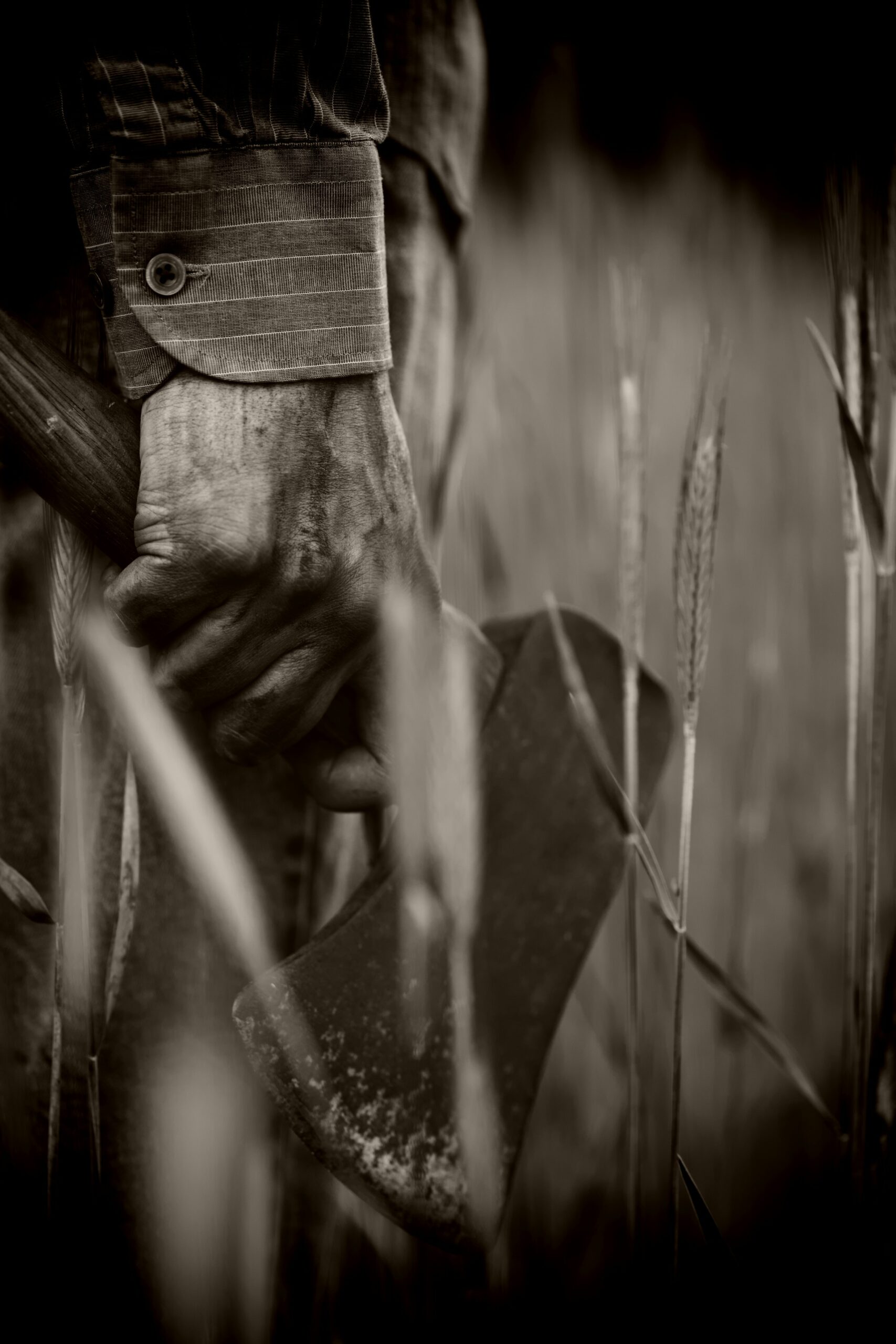 Axe Throwing: Ancient Roots to Today’s Competitive Sport