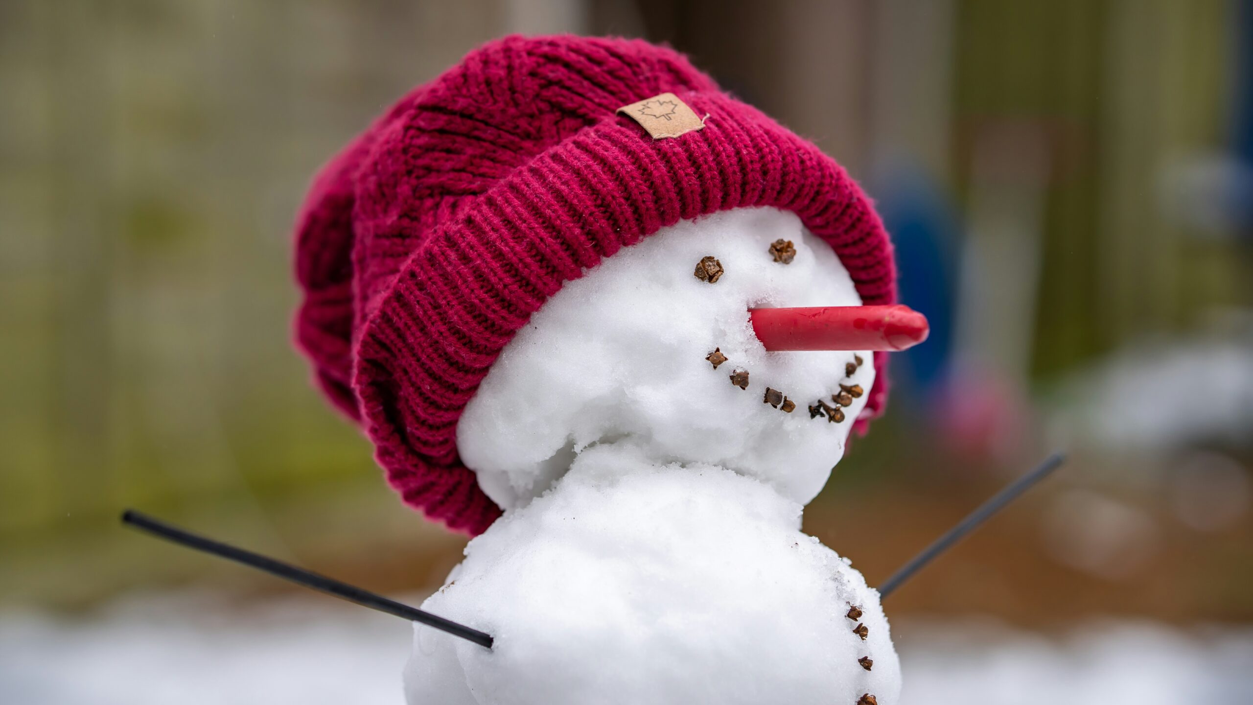 A cheerful snowman wearing a red knit hat with a stick nose and clove smile.