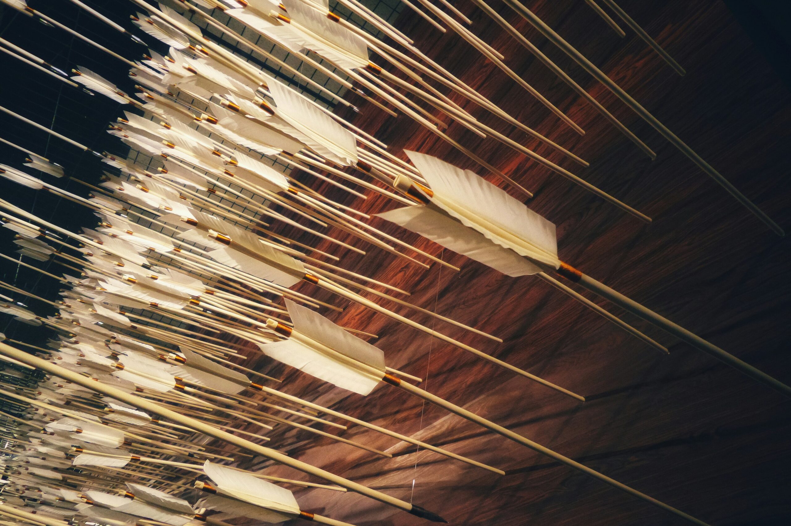 Essential Archery Arrow Tag Rules You Must Know