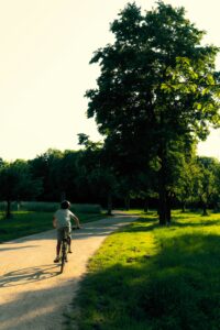photo 1685535299316 25bec4e6d652jpeg - Brainy Actz Escape Rooms A child rides a bike down a sunlit park path lined with trees, showcasing an ideal outdoor setting perfect for an exciting Nerf game.