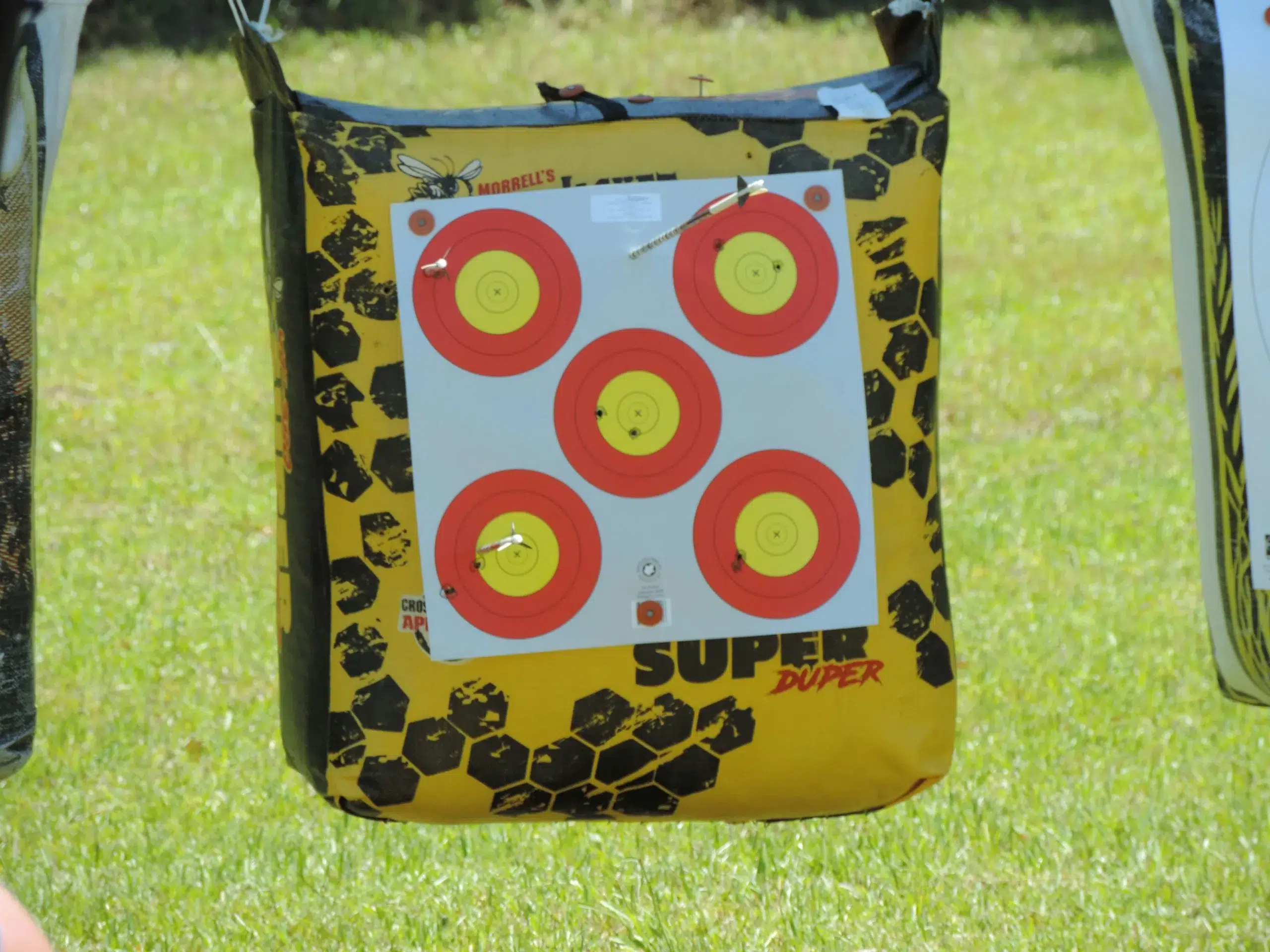 0854a8af 3aed 4991 bb87 601d3edd5d1d scaledwebp - Brainy Actz Escape Rooms An archery target system with multiple bullseye zones is mounted on a durable bag frame, showcasing a flexible setup for adjustable Archery Tag gameplay.